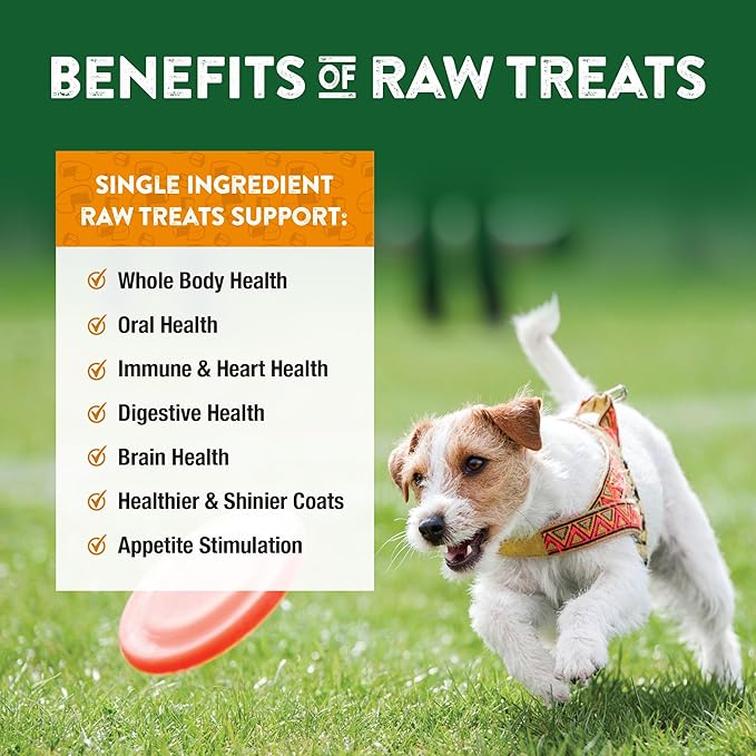 Northwest Naturals Raw Rewards Freeze-Dried Cheddar Cheese Treats for Dogs and Cats - Bite-Sized Pieces - Healthy, 1 Ingredient, Human Grade Pet Food, All Natural - 6 Oz