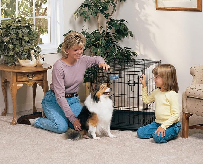 MidWest Homes for Pets Medium Dog Crate | Midwest Life Stages 30' Folding Metal Divider Panel,Floor Protecting Feet,Plastic Tray 30L x 19W 21H Inches,Breed