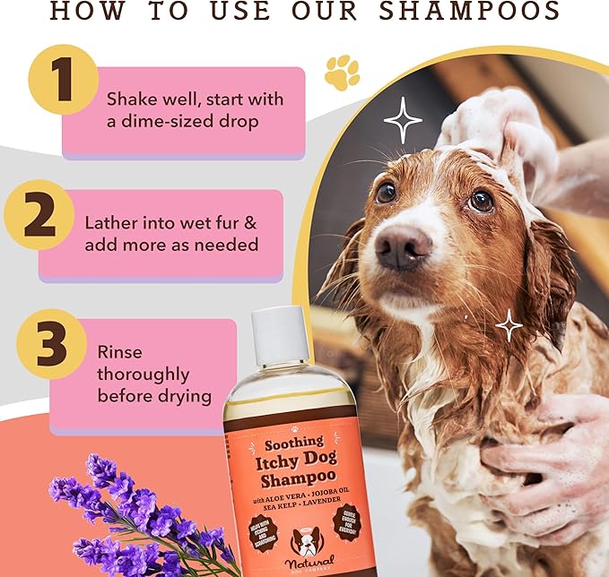 Natural Dog Company Itchy Dog Shampoo, 12 oz., Dog Dry Skin Treatment, Dog Itch Relief, Hypoallergenic, Plant Based Ingredients, Deodorizing Dog Shampoo, Relief from Skin Allergy Symptoms