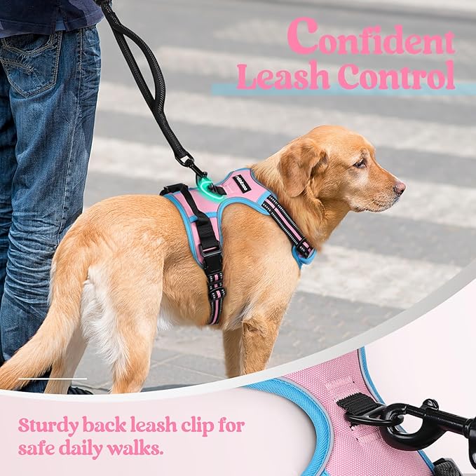rabbitgoo Dog Harness, No-Pull Pet Harness with 2 Leash Clips, Adjustable Soft Padded Dog Vest, Reflective No-Choke Pet Oxford Vest with Easy Control Handle for Large Dogs, Pink & Blue, L