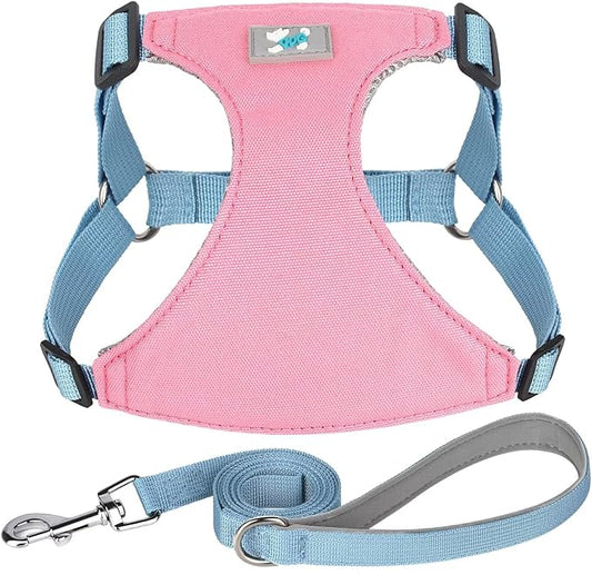 Beirui Small Dog Harness and Leash Set, No Pull Step-in Harness for Puppy, Lightweight Air Mesh Pet Harness for Medium Dogs (Pink, M)