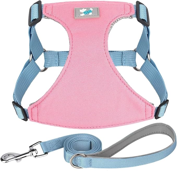 Beirui Small Dog Harness and Leash Set, No Pull Step-in Harness for Puppy, Lightweight Air Mesh Pet Harness for Small Dogs (Pink, S)