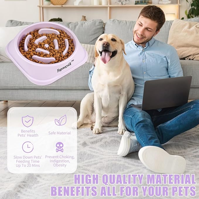 Slow Feeder Dog Bowls for Healthy Eating, Non-Slip and Anti-Choking Design, Reduces Bloating & Overeating for Large Dogs, Easy to Clean