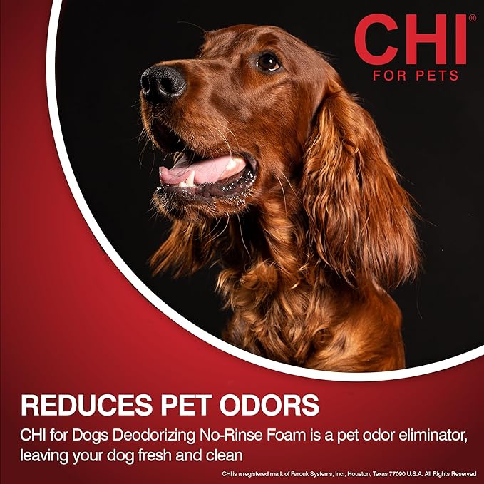 CHI For Dogs Deodorizing No-Rinse Foam, 8 Fl Oz Pump Bottle, Made in The USA, Sulfate & Paraben Free Pet Odor Eliminator Foam, Dry Shampoo for Dogs