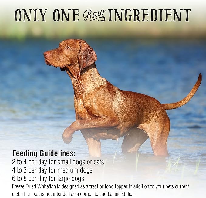 Northwest Naturals Raw Rewards Freeze-Dried Whitefish Treats for Dogs and Cats - Bite-Sized Pieces - Healthy, 1 Ingredient, Human Grade Pet Food, All Natural - 2.5 Oz