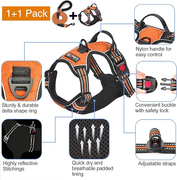 tobeDRI No Pull Dog Harness Adjustable Reflective Oxford Easy Control Medium Large Dog Harness with A Free Heavy Duty 5ft Dog Leash (S (Chest: 17.5"-21"), Orange Harness+Leash)
