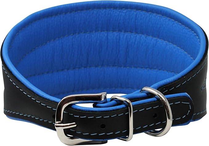 Real Leather Extra Wide Padded Tapered Dog Collar Glossy Black Greyhound Saluki Deerhound Lurcher Whippet Dachshund (13.25"-15.25" Neck; 2.5" Wide, Blue)