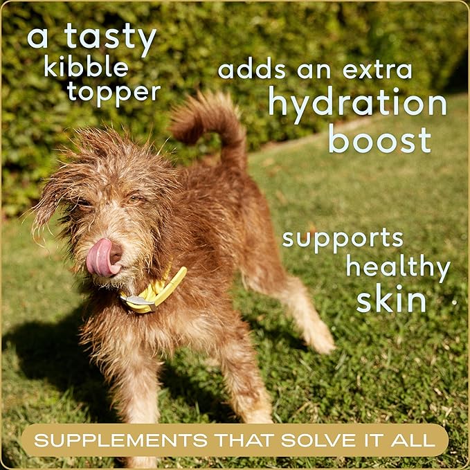 Native Pet Bone Broth for Dogs & Cats – Dog Bone Broth Powder - Dog Food Topper for Picky Eaters – Cat Broth & Dog Broth - Puppy Dog Gravy Topper for Dry Food – Beef Broth for Dogs & Cats – 9.5 oz