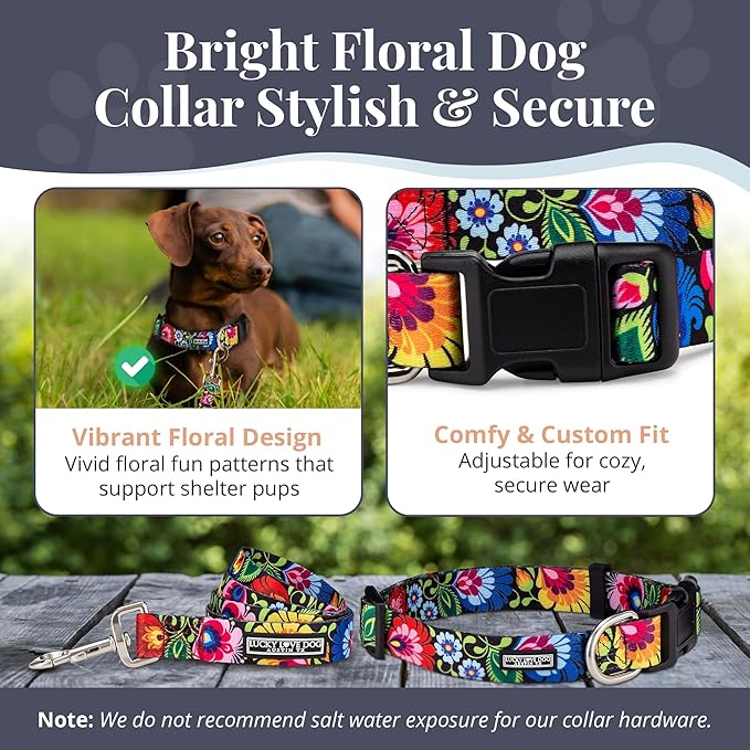 Lucky Love Dog - Easy Click Buckle Dog Collar with Leash Set Combo, Durable & Comfortable Collar for Male & Female Dogs, Pet Collar for Small to Large Dogs, Secure Fit - Blackbird Combo, X-Small