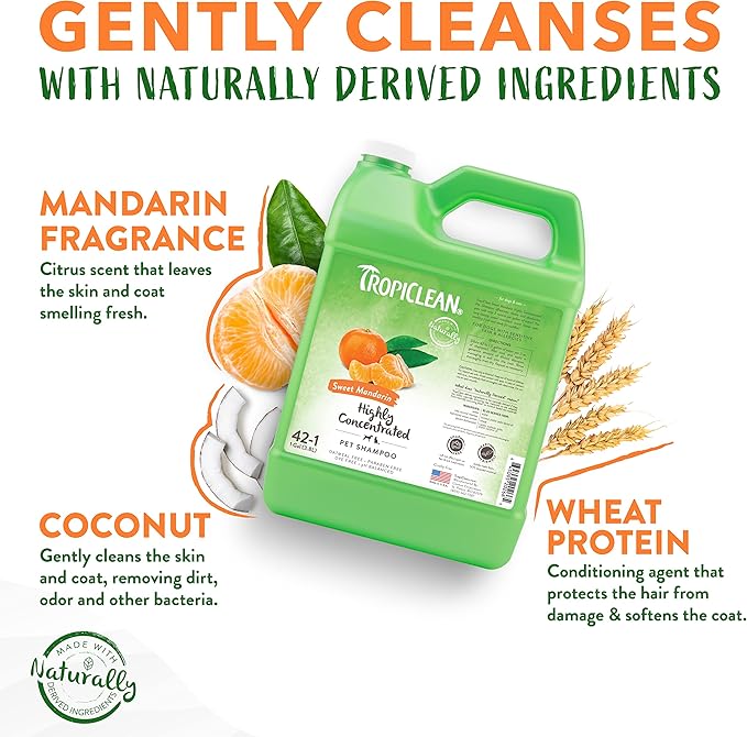 TropiClean High Concentrate Dog Shampoo, Professional Grade & Size for Groomers, 42:1 Dilution, Puppy Safe, USA Made, Sweet Mandarin Scent, 1 Gallon