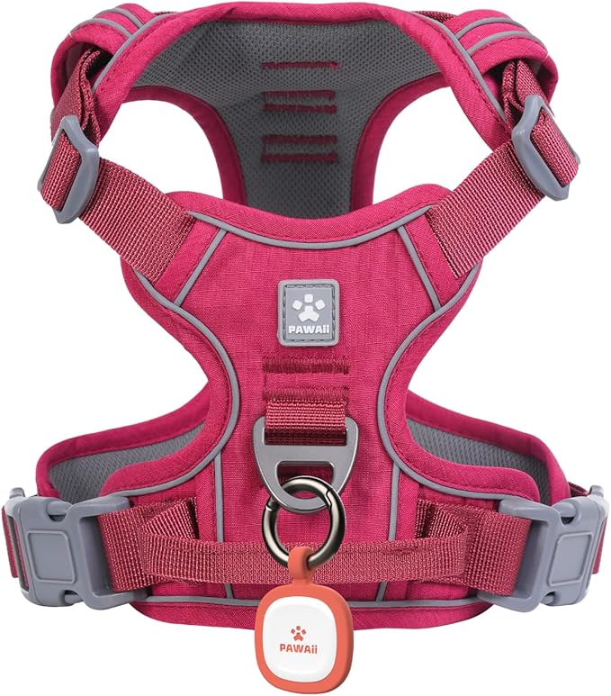 Pawaii Dog Harness for Small Dogs, Dog Harness with Pet ID Tag, No Choke Dog Harness, Adjustable Soft Padded Pet Vest with Easy Control Handle