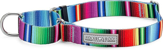 Lucky Love Dog Martingale Collar, Premium No Slip Collar, Colorful Striped Martingale Dog Collar for Small Dogs, Great for Whippets, Greyhounds, and More (Small, Nacho)