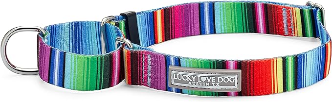 Lucky Love Dog Martingale Collar, Premium No Slip Collar, Colorful Striped Martingale Dog Collar for Large Dogs, Great for Whippets, Greyhounds, and More (Large, Nacho)