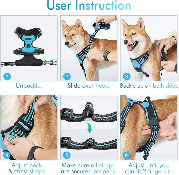 rabbitgoo Dog Harness, No-Pull Pet Harness with 2 Leash Clips, Adjustable Soft Padded Dog Vest, Reflective No-Choke Pet Oxford Vest with Easy Control Handle for Medium Dogs, Blue, M