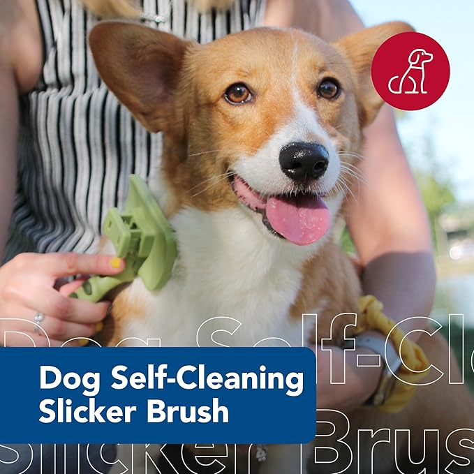 Coastal Pet Safari Dog Self-Cleaning Slicker Brush - Dog Deshedding Brush - Prevents Mats and Tangled Hair - For Dogs with Short or Long Hair - Large - 8" x 4.5"