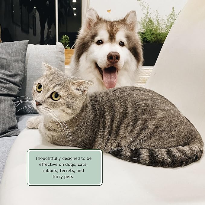 Begley's Pet Cologne and Deodorizer - Premium Essential Oil Dog Perfume Spray Long Lasting and Pet Odor Eliminator - Cat Perfume and Dog Cologne Spray - Baby Powder - 8 oz