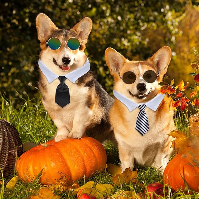 Weewooday 8 Pcs Pet Dog Cat Costume Cat Tie Collar Glasses for Small Dog Round Metal Retro Sunglasses Tie Pet Costume Tuxedo Necktie Collar Puppy Accessories Halloween Cosplay Party(Classic Colors)