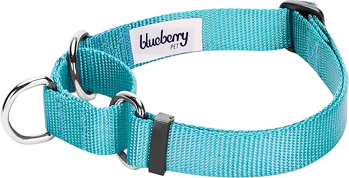 Blueberry Pet Essentials Martingale Safety Training Dog Collar, Turquoise, X-Large, Heavy Duty Nylon Adjustable Collars for Dogs