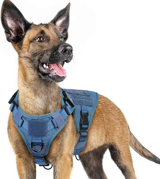 rabbitgoo Tactical Dog Harness for Large Dogs, Heavy Duty Dog Harness with Handle, No-Pull Service Dog Vest Large Breed, Adjustable Military Dog Vest Harness for Training Hunting Walking, Blue, S