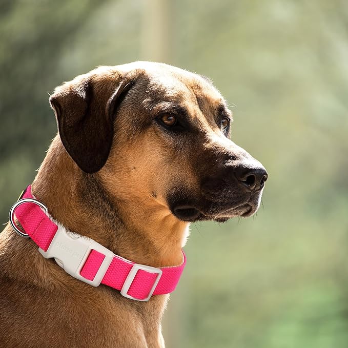 Plutus Pet Cotton Dog Collar, Heavy Duty Collar with Soft Padding, Adjustable and Comfortable for Small Medium and Large Dogs, Hot Pink, L