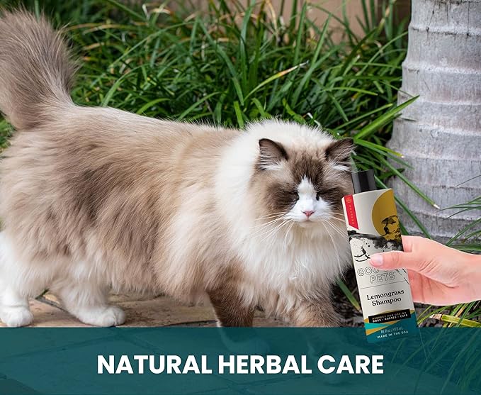 Holistic, Natural and Clean Pet Care Lemongrass Shampoo: Veterinarian Recommended - Hydrate Your Pet’s Coat With Our Hypoallergenic Shampoo For Dogs, Cats and Horses - Made in USA - 16 oz