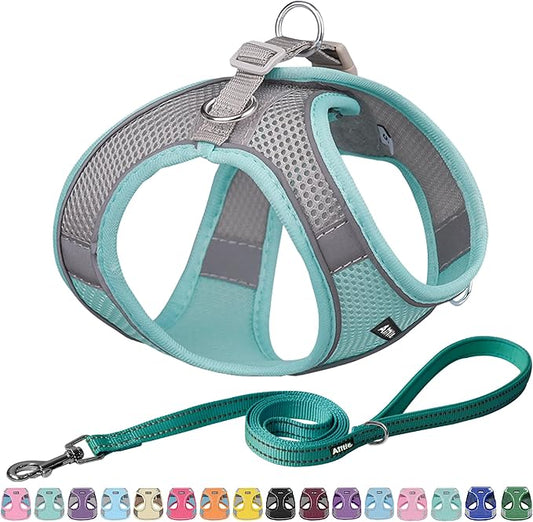 AIITLE Step in Dog Harness and Leash Set - Spring No Pull Escape Proof Vest Harnesses with Soft Mesh and Reflective Bands, Adjustable Pet Outdoor Harnesses for Small and Medium Dogs Turquoise M