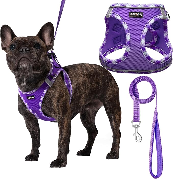 AMTOR Small Dog Harness with Leash Set, No Escape Easy Walk Puppy Harnesses for Training Walking, Step-in Reflective Soft Dogs Vest for XS S Medium Extra-Small Large Sized Dog(Purple,S)