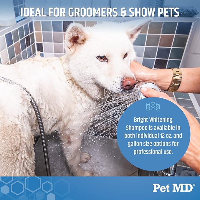 Pet MD Bright Whitening Shampoo for Dogs & Cats - Colloidal Oatmeal Moisturizes and Restores Dry Fur - Professional Dog Shampoo Gallon - Tearless Grooming Formula for Puppies & Kittens