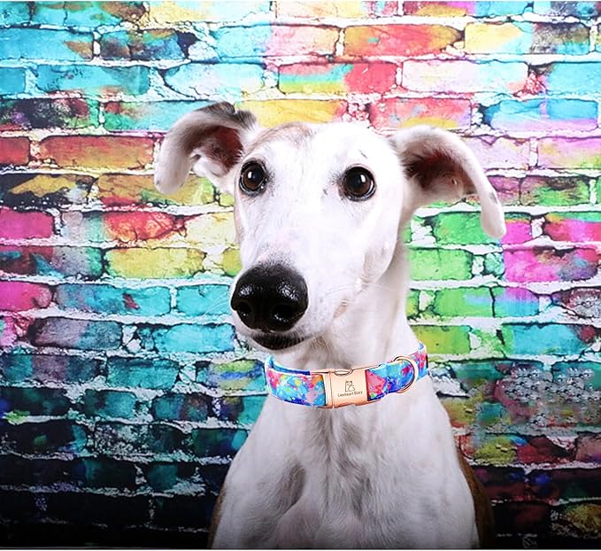 Lionheart glory Dog Collar Colorful Dog Collar Premium Collar Dogs Cute Pet Collar Gift for Small Medium Large Dog