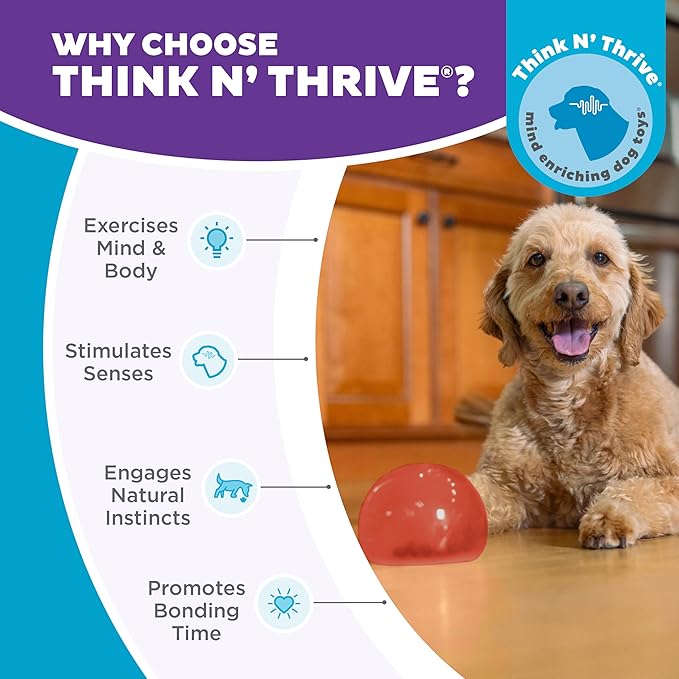 Outward Hound by Planet Dog Lil' Snoop Interactive Treat Dispensing Dog Toy, Small, Red