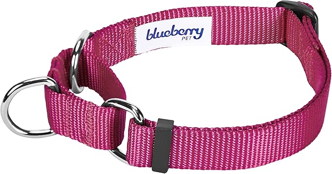 Blueberry Pet Essentials Martingale Safety Training Dog Collar, Very Berry, Large, Heavy Duty Nylon Adjustable Collars for Dogs
