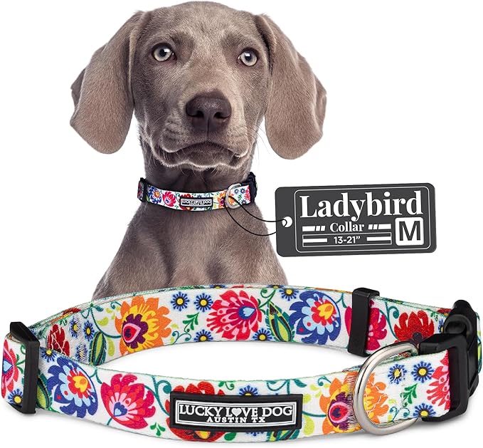Lucky Love Dog - Adjustable Dog Collar with Easy Click Buckle for Small to Large Dogs, Durable, & Comfortable Collar for Male & Female Dogs, Pet Collar for Puppies & Adult Dogs - Ladybird, Medium