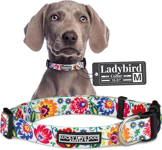 Lucky Love Dog - Adjustable Dog Collar with Easy Click Buckle for Small to Large Dogs, Durable, & Comfortable Collar for Male & Female Dogs, Pet Collar for Puppies & Adult Dogs - Ladybird, Medium