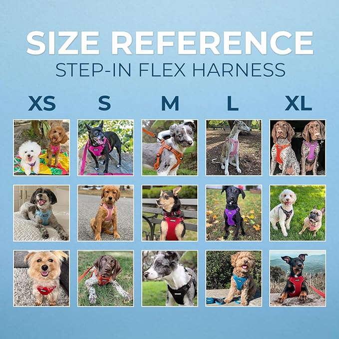 Best Pet Supplies Voyager Adjustable Dog Harness Leash Set with Reflective Stripes for Walking Heavy-Duty Full Body No Pull Vest with Leash D-Ring, Breathable All-Weather - Army/Black Trim, XS