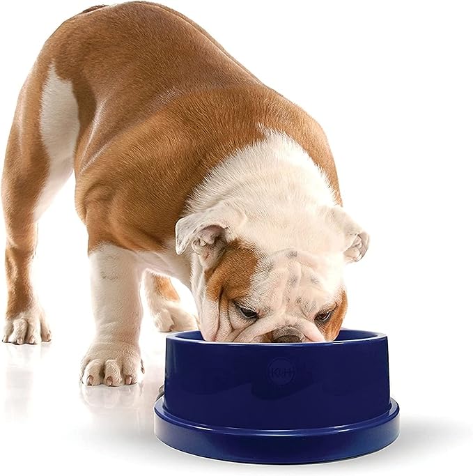 K&H Pet Products Coolin' Pet Bowl Blue 96 Ounces
