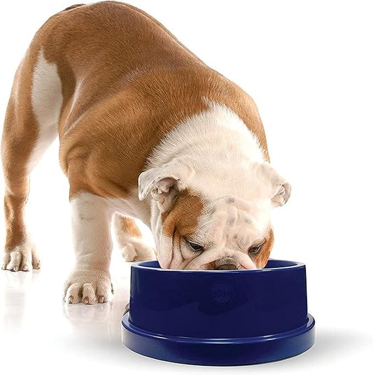 K&H Pet Products Coolin' Pet Bowl Blue 96 Ounces