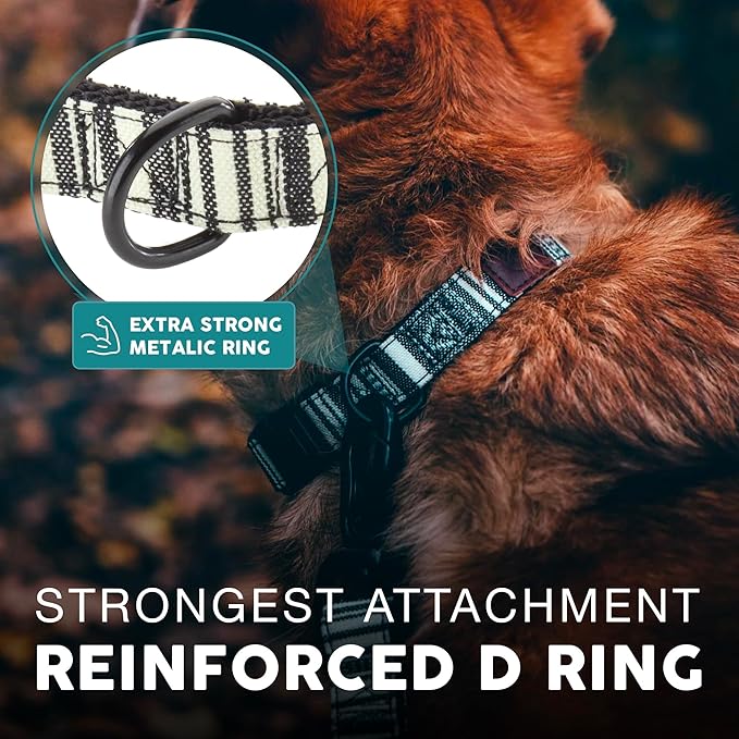 Embark Urban Dog Collar – Dog Collar Stylish & Durable Nylon Dog Collar for Large Dogs, Small Dogs & Medium Dogs.Comfortable Pet Collar Strong Buckles for Any Size Breed (Lunar, Large)