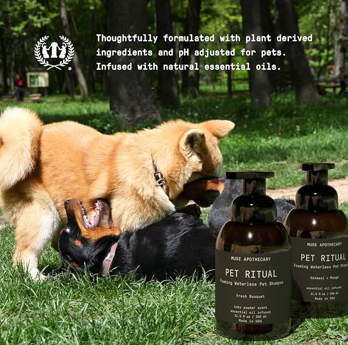 Muse Apothecary Pet Ritual Foaming Waterless Shampoo for Dogs, Waterless Dog Shampoo Foam, No Rinse Dog Shampoo, Waterless Dog Shampoo for Large Dogs - Essential Oils Infused, 11.5oz Lavender Fields