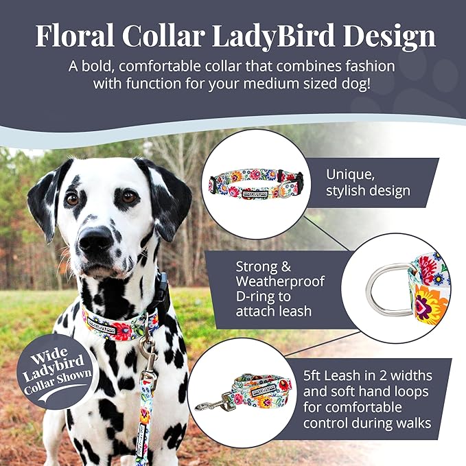 Lucky Love Dog - Adjustable Dog Collar with Easy Click Buckle for Small to Large Dogs, Durable, & Comfortable Collar for Male & Female Dogs, Pet Collar for Puppies & Adult Dogs - Ladybird, Medium