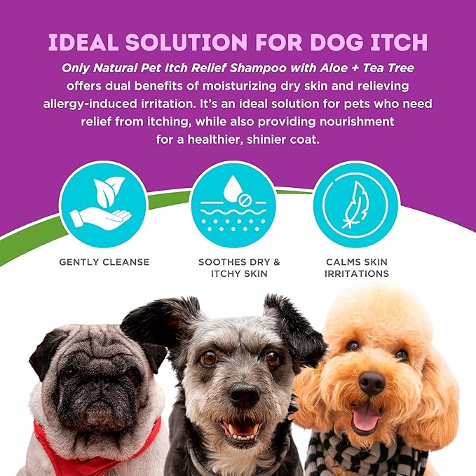 Only Natural Pet Itch Relief Shampoo with Aloe + Tea Tree for Dogs, Oatmeal Dog Shampoo for Dry Itchy Skin Allergies, Anti Itch Sensitive Skin No Sulfates, Parabens, Phosphates, Phthalates - 16.9 Oz