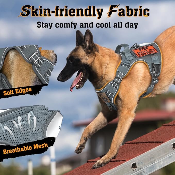 rabbitgoo Dog Harness for Large Dogs No Pull, Tactical Service Dog Vest with Molle and Control Handle, Adjustable and Reflective Military Pet Harness for Easy Walking and Training, Grey, XL