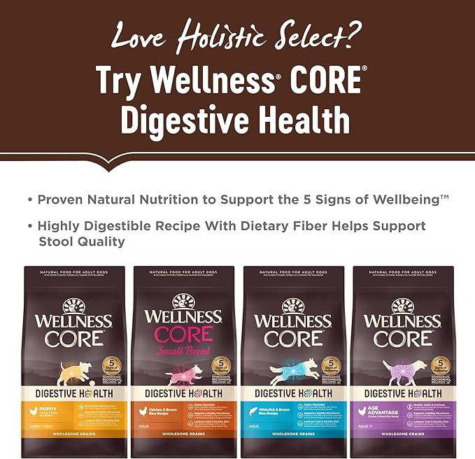 Holistic Select Natural Grain Free Dry Dog Food, Deboned Turkey & Lentils Recipe, 4-Pound Bag