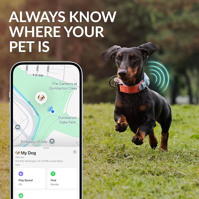 CollarDirect Airtag Dog Collar Reflective Nylon Neoprene Leather Holder for Apple Air Tag for Large, Medium, and Small Dogs (Green, M, 13.5-16.5 Inch)