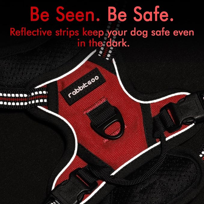 rabbitgoo Dog Harness, No-Pull Pet Harness with 2 Leash Clips, Adjustable Soft Padded Dog Vest, Reflective No-Choke Pet Oxford Vest with Easy Control Handle for Small Dogs, Red,XS