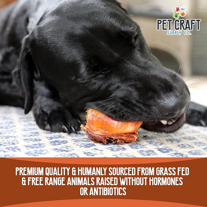 Pet Craft Supply Meaty Buffalo Knee Caps Bones 10-Pack Dog Treats for Aggressive Chewers, Rawhide Free Grain Free All Natural Slow Roasted Long Lasting Chew