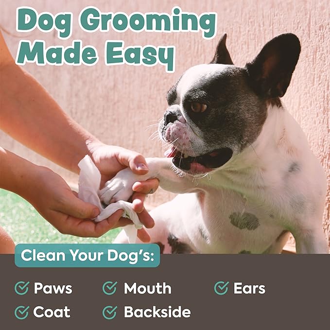 Bark & Clean Dry Dog Wipes, Dog Grooming Supplies - Unscented Non-Woven Dog Cleaning Wipes - Hypoallergenic Dog Wipes for Paws and Butt - Liquid and Chemical Free Pet Wipes - 50