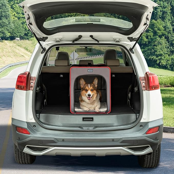 PETSFIT Portable Dog Crate, Collapsible Dog Crate - 24 Inch with Thicken Mat, Easy to Fold, Sturdy and Portable, Perfect for Traveling, Soft Dog Kennel Army Green