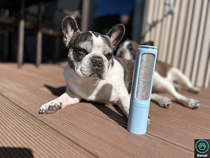 Baruel Pet Hair Remover Brush for Dogs, Gentle Yet Effective, Soft Bristles, All Breeds and Sizes (Green)