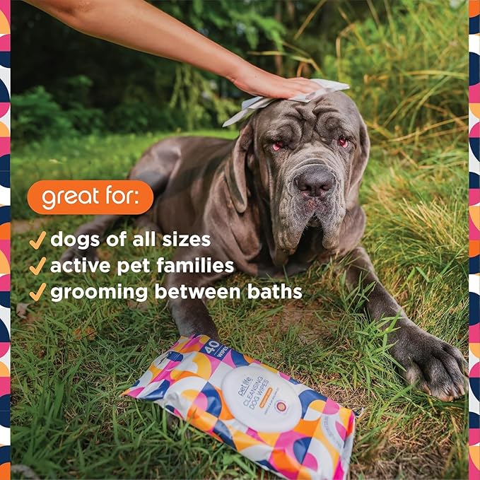 Pet Life Unlimited Dog Spray Shampoo & Cleansing Dog Wipes, Bergamot Apple (40 ct) Bundle - Dog Shampoo and Conditioner Foaming 2-in-1 Spray - Dog Grooming Wipes for Cleansing & Deodorizing Pet Wipes