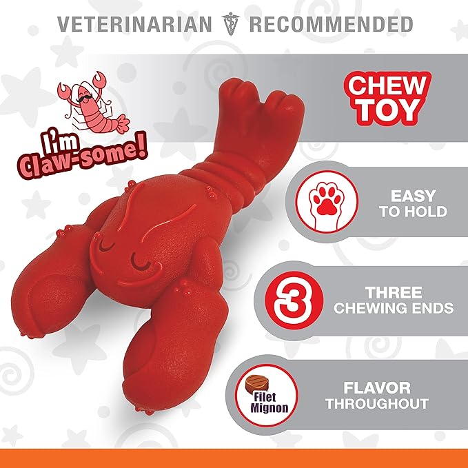Nylabone Power Chew Lobster Dog Chew Toy, Cute Dog Toys for Aggressive Chewers, Filet Mignon Flavor, Small/Regular (1 Count)